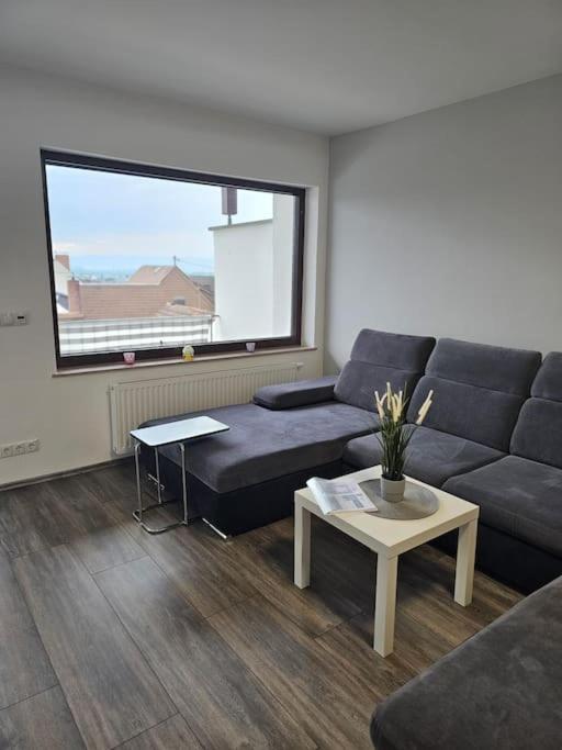 Gemuetliche Ferienwohnung Мюльхайм-Керлих Экстерьер фото